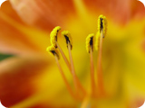 批发价格哪里的轰炸电话信息软件免费版